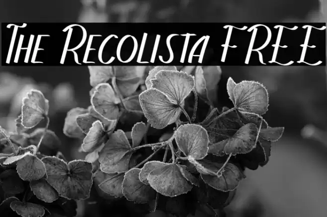 The Recolista FREE Font examples