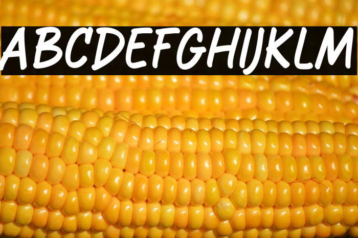 The Resident Example 3