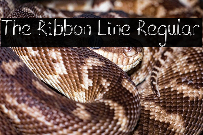 The Ribbon Line Regular Example 3