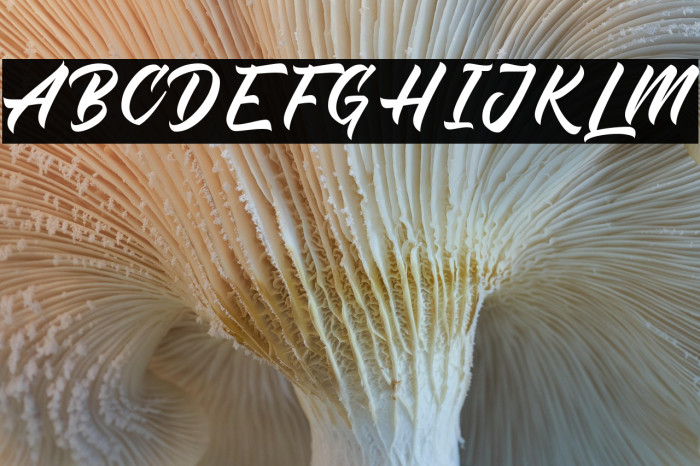 The Rich Family Example 2