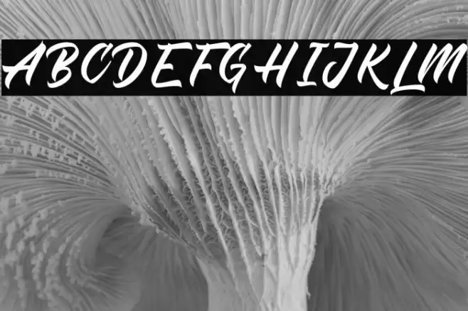 The Rich Family フォント examples