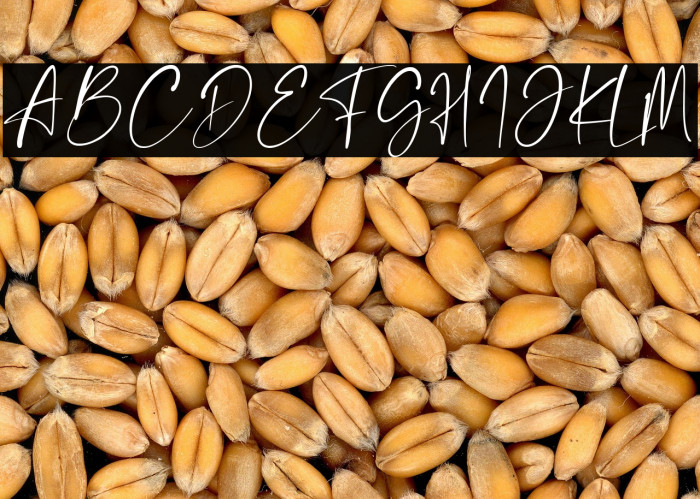 The Rickon Example 2