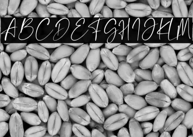 The Rickon Font examples