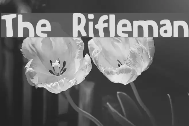 The Rifleman خط examples