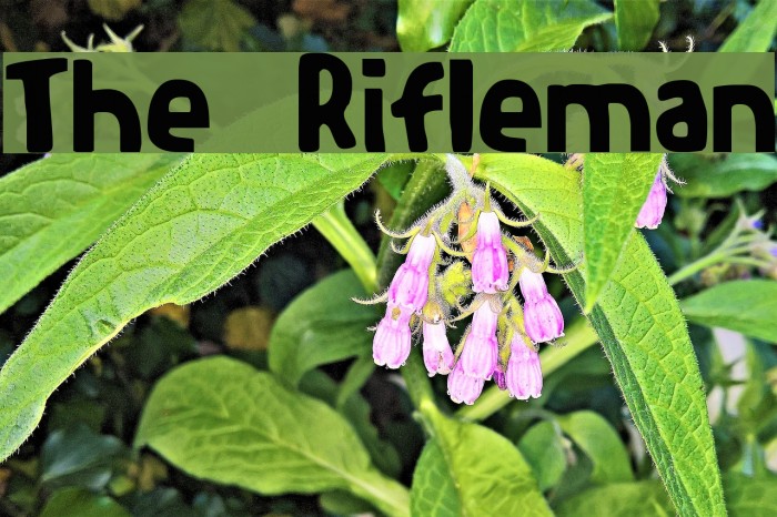 The Rifleman لخطوط تنزيل examples