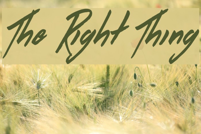 The Right Thing Font examples
