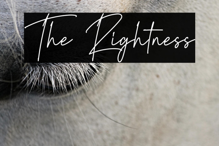 The Rightness Example 1