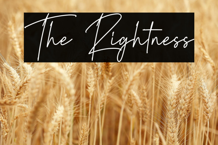 The Rightness Example 3