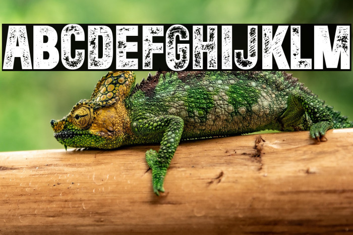 The Rivened Example 2