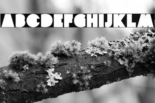 The Rock Font examples