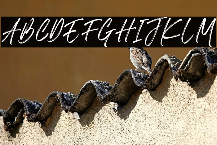 The Roletta Example 2