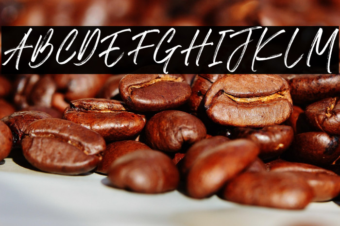 The Roletta Example 3