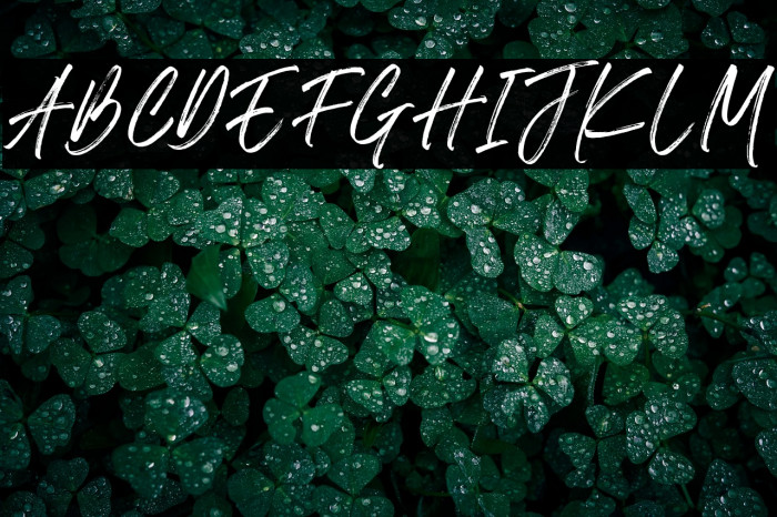 The Roletta Example 1