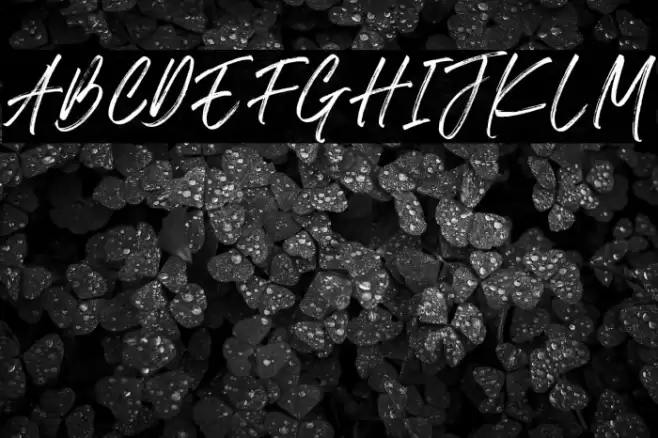 The Roletta Font examples