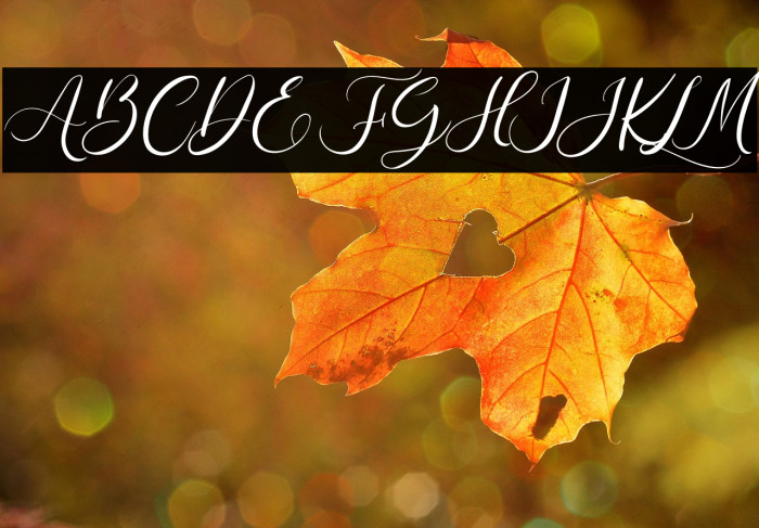 The Romance Example 3