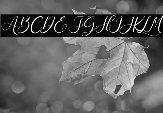 The Romance Font examples