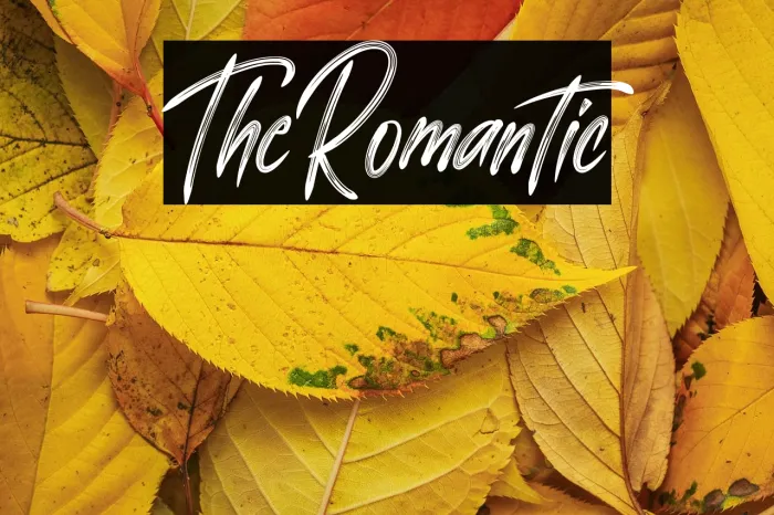 The Romantic Example 2