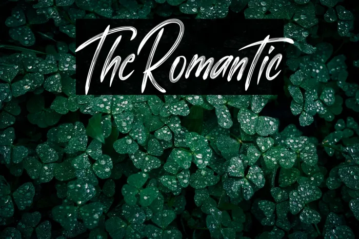 The Romantic Example 3