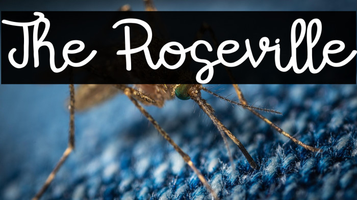 The Roseville Example 1