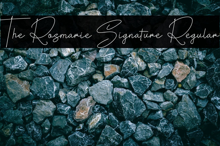 The Rosmarie Signature Regular Example 1