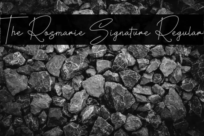 The Rosmarie Signature Regular Font examples