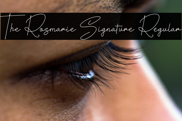 The Rosmarie Signature Regular Example 2