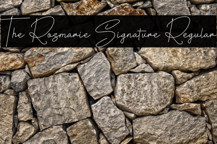 The Rosmarie Signature Regular Example 3