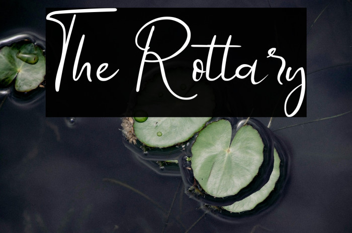 The Rottary Example 1