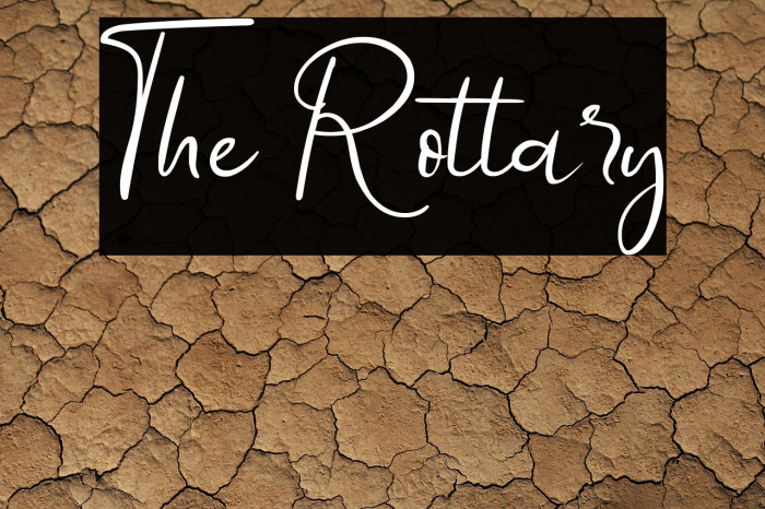 The Rottary Example 3