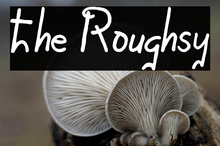 The Roughsy Example 3