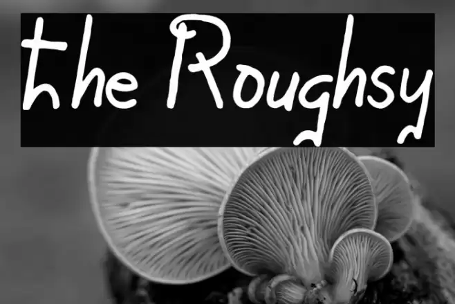 The Roughsy Font examples
