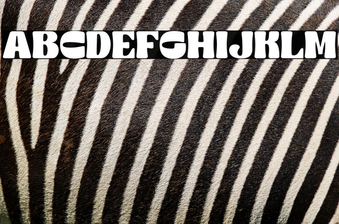 The Rufly - Demo Font Regular Example 1