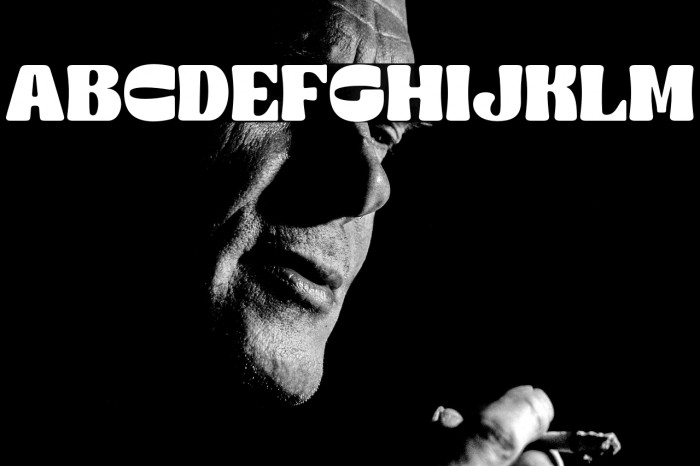 The Rufly - Demo Font Regular Example 3