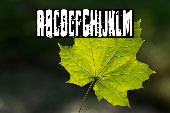 The Russian Spy Example 1