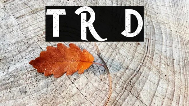 The Rustic - Demo Example 2