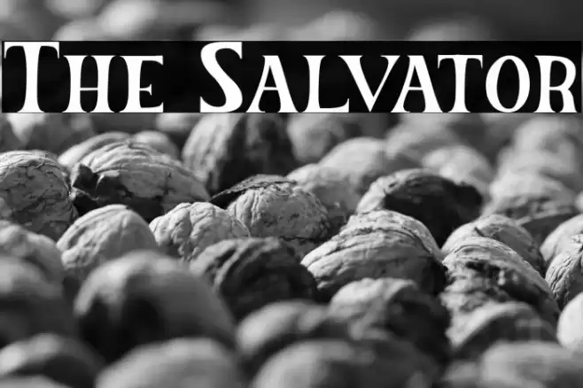 The Salvator Font examples