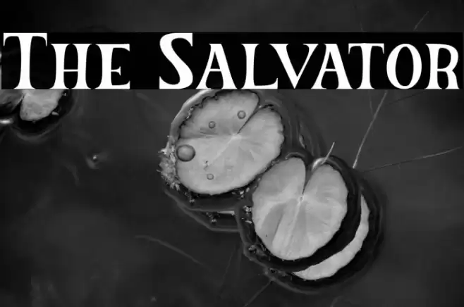 The Salvator Font examples