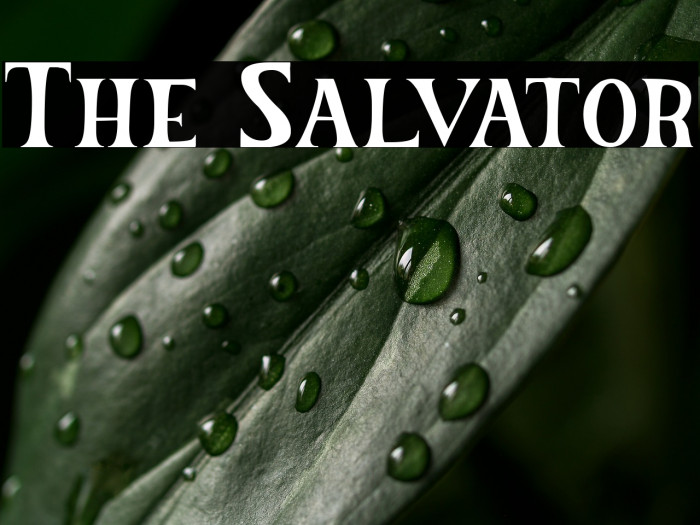 The Salvator Example 3