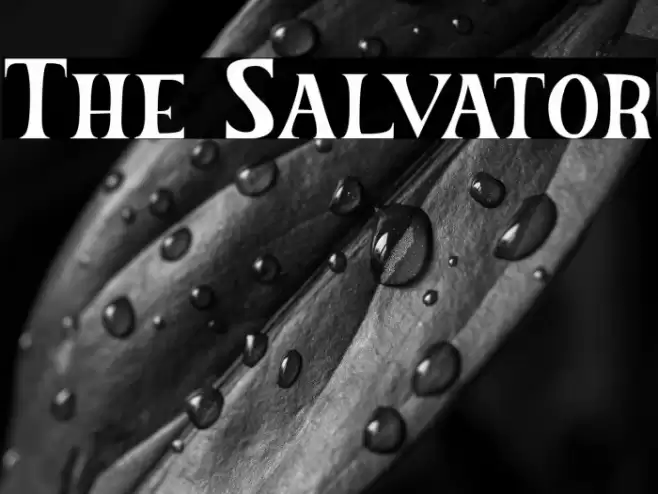 The Salvator Font examples