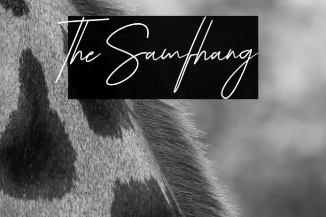 The Samfhang Font examples