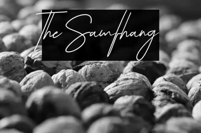 The Samfhang Font examples