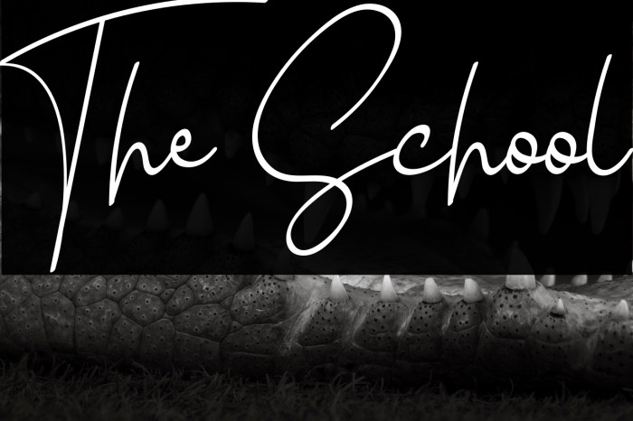 The School Example 2