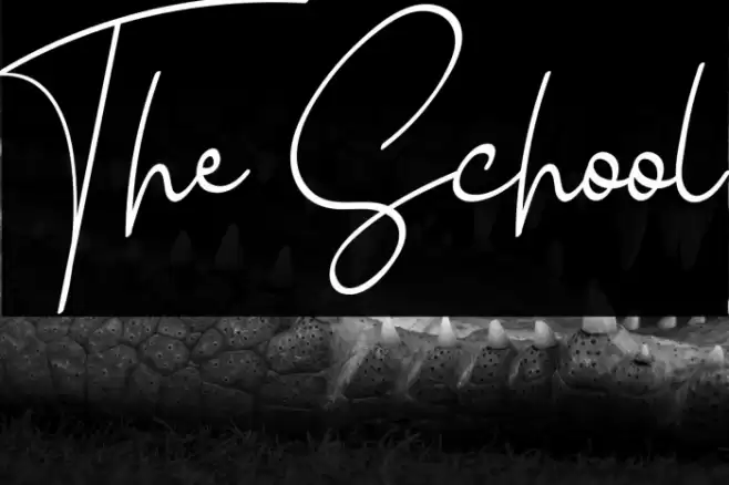 The School Font examples