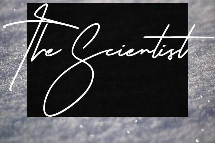 The Scientist Example 2