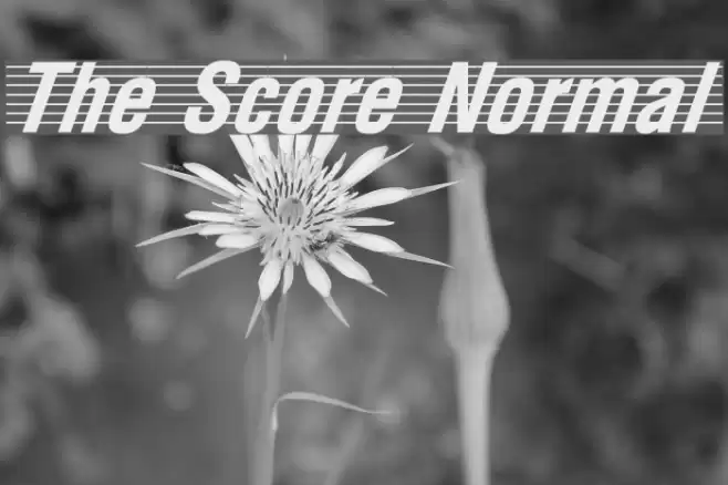 The Score Normal Caratteri examples