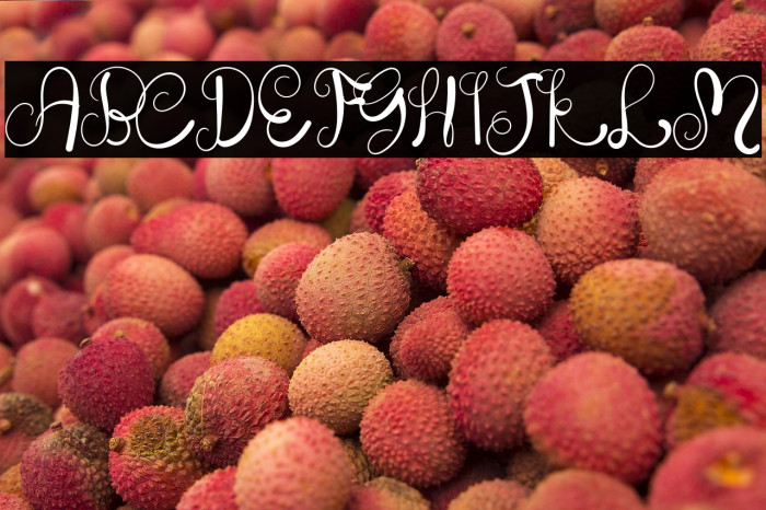 The Script Example 2