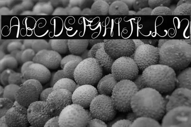 The Script Font examples