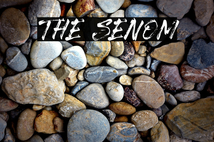 The Senom Font examples