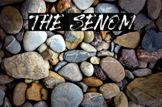 The Senom Example 1
