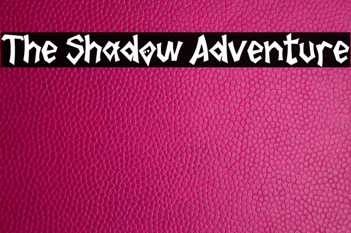 The Shadow Adventure Example 1